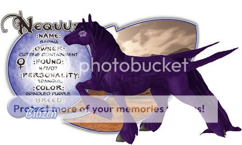 User Image